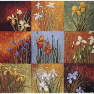  Iris Fields I by Jang Mariss 12x12