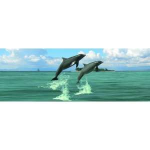  Mooviestudios Jumping Dolphins Bookmark 