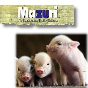  Mazuri Youth Mini Pig Diet 