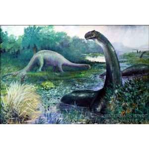  Brontosaurus, by Charles R. Knight   24x36 Poster 