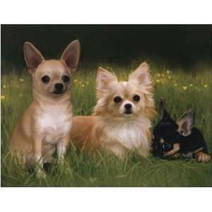  Chihuahua Trio in Grass Notecards