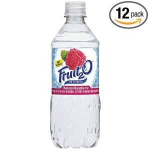 Fruit2O, Raspberry, 20 Ounce Bottles (Pack of 12)  Grocery 