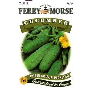   Morse Seeds 1281 Cucumber   Sumter 2 Gram Packet Patio, Lawn & Garden