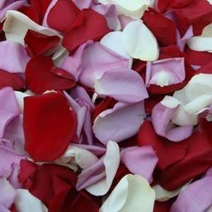   Rose Petals   12,000 Rose Petals  Grocery & Gourmet Food