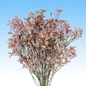 Limonium Lavender 120 Stems  Grocery & Gourmet Food