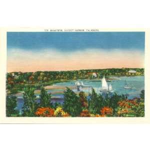   Postcard Quisset Harbor near Falmouth Massachusetts 