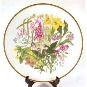  Caverswall Wildflowers plate   Mary Grierson   Marshland 