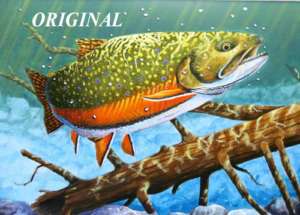 Awesome Trout Cross Stitch Pattern Game Fish  