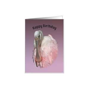  Birthday, Spoonbill Bird in Pink Card Health & Personal 