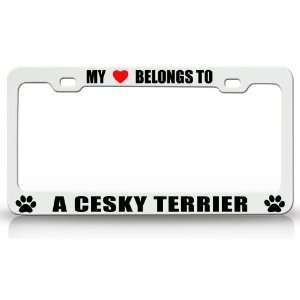 MY HEART BELONGS TO A CESKY TERRIER Dog Pet Steel Metal Auto License 