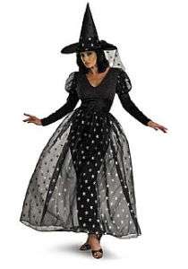 Sparkle Witch Adult Womens Costume  