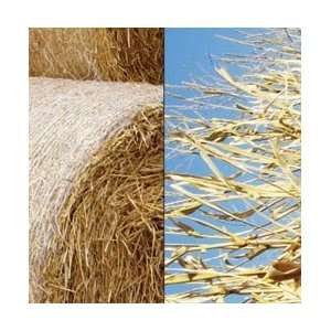   12X12 Hay Bales; 25 Items/Order 