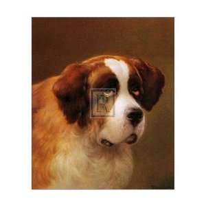  Head of a St.Bernard   Poster by P. Magee (24 x 30)