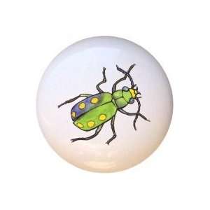  Six spotted Tiger Beetle Drawer Pull Knob