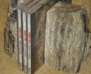 These are Nice Massive Silicified Petrified Wood Bookends From 