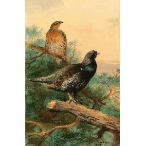  Hand Made Oil Reproduction   Archibald Thorburn   32 x 48 