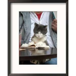  A Cat Joins its Owner Reading a Book at a Tokyo Cafe 
