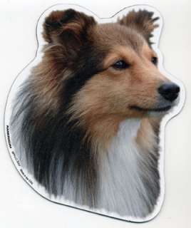 Shetland Sheepdog Dog Head Car Magnet Sheltie  