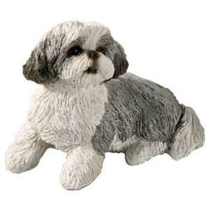 Shih Tzu   Small Size