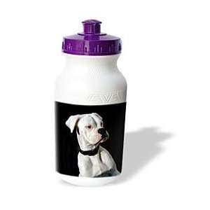  Dogs Boxer   White Boxer Uncropped Ears   Water Bottles 