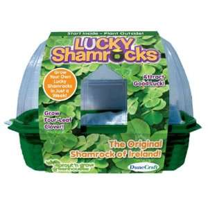  Lucky Shamrocks Case Pack 12 Toys & Games