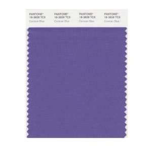   SMART 18 3828X Color Swatch Card, Corsican Blue