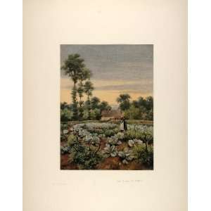  1892 Lithograph Vegetable Garden Welford Warwickshire 