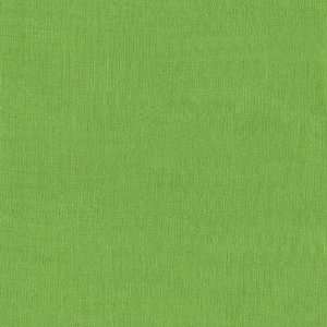  45 Wide Kaffe Fassett Shot Cottons Lime Fabric By The 