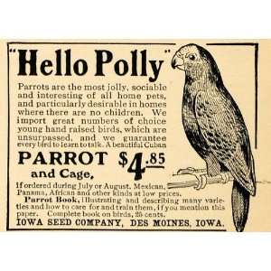  1902 Ad Iowa Seed Pet Cuban Parrot With Cage Des Moines 