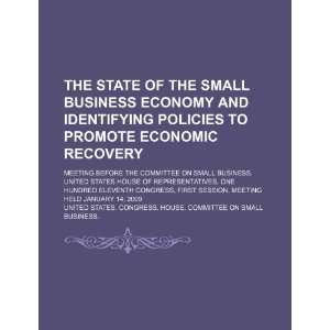 business economy and identifying policies to promote economic recovery 