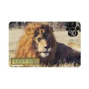   Card $10. Chakra Lion Cat (Predators Plus Series) 