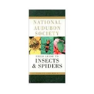   House Audubon Field Guide  Insects and Spiders
