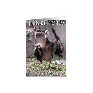    Happy 17th Birthday Grandson / Wild Duck Card Toys & Games