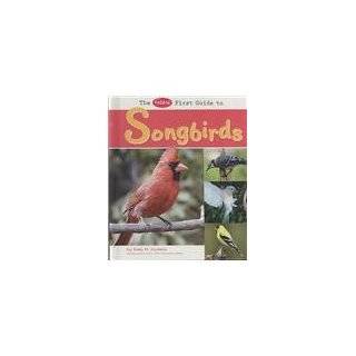 Pebble First Guide to Songbirds (Pebble First Guides) by Katy R 