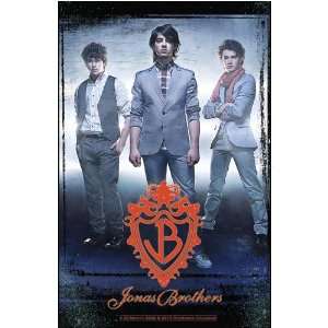    The Jonas Brothers 2009 Deluxe Wall Calendar