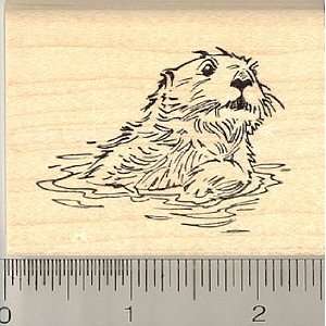  Sea Otter Rubber Stamp   Wood Mounted Arts, Crafts 