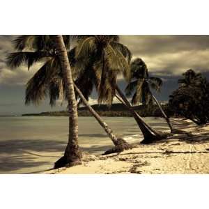 Playa Rincon Beach, Las Galeras, Samana Peninsula, Dominican Republic 
