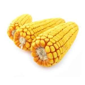  Corn Maize Kernels Three on White Background   Peel and 