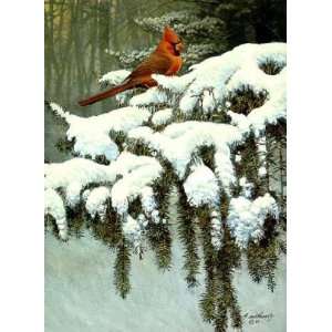  Alan Sakhavarz   Natures Ornament   Cardinal