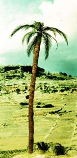 Verlinden 135 Palm Trees Resin/Etched, item #78  