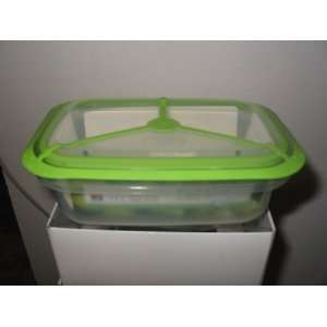  OKT Fresh and Safe 0.6 L Box In Transparent Lid In Capri 