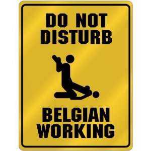  New  Do Not Disturb  Belgian Working  Belgium Parking Sign 