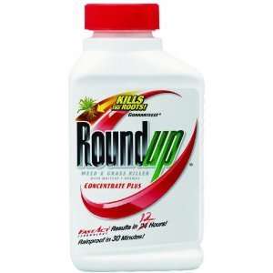  (3 PACK) Roundup Weed & Grass Killer Plus, 16oz 