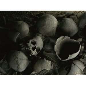  Human Skulls Discovered in a Pit During Excavation of a 