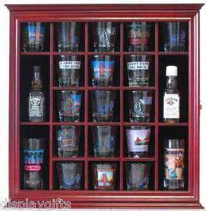   Display Case Wall Cabinet Shadow Box, with Hinged Glass Door  
