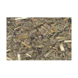  Horehound Cut 2oz (HHORC) Beauty