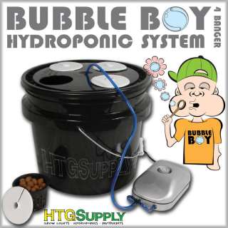   HYDROPONIC GROW KIT SYSTEM BUBBLE BOY DWC bubbler hydro garden four