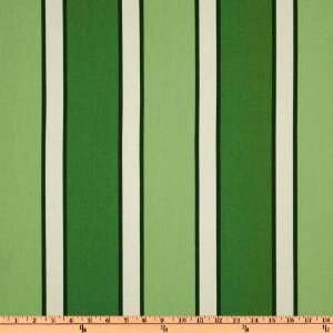  54 Wide Carver Million Dollar Stripe Green Fabric By The 