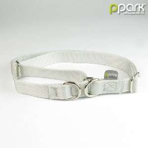  ppark Martingale Dog Collar for training   Silver color 
