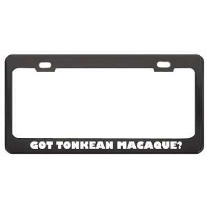 Got Tonkean Macaque? Animals Pets Black Metal License Plate Frame 